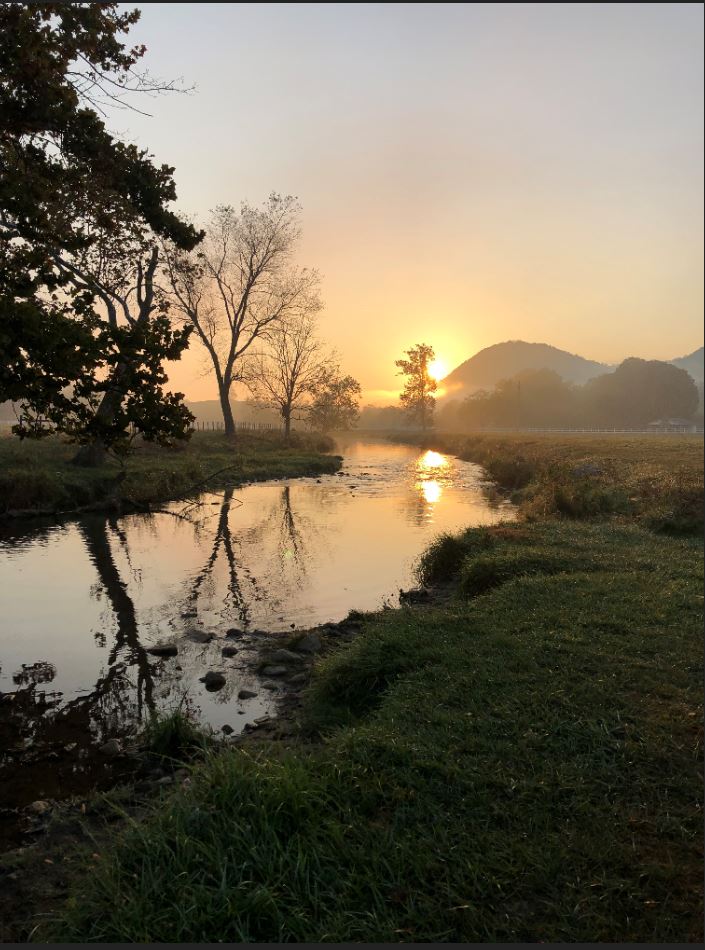 Cedar Springs Trout Farm